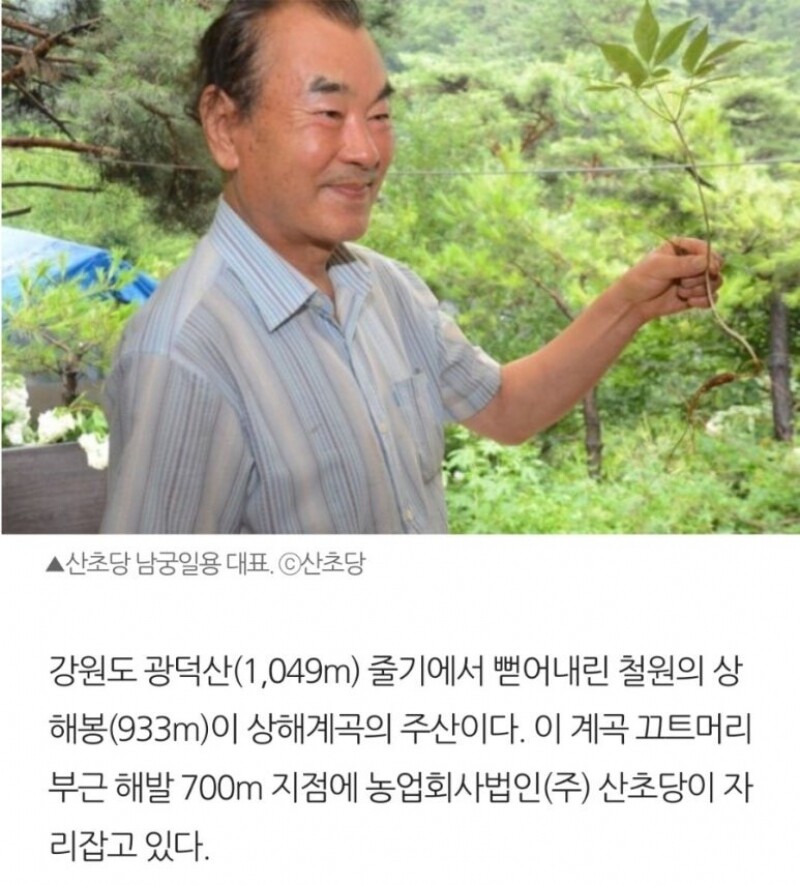 철원몰,(이벤트)산양산삼막걸리15병